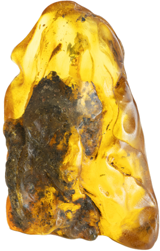 45.30 g Amber nugget with inclusion (5)