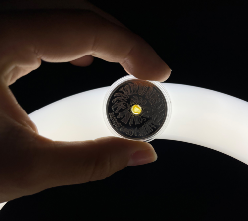 2021 Литва Праздник моря 5 евро серебряная монета (4)