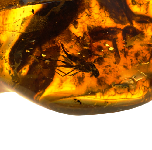 27,40 g Amber Nugget with inclusions (2)