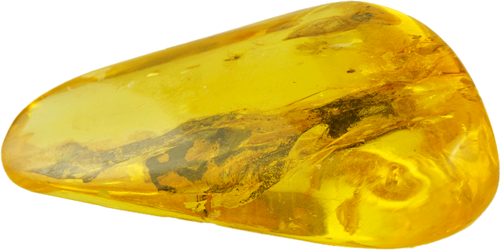 16,30 g  Amber Nugget with fly inclusion (3)