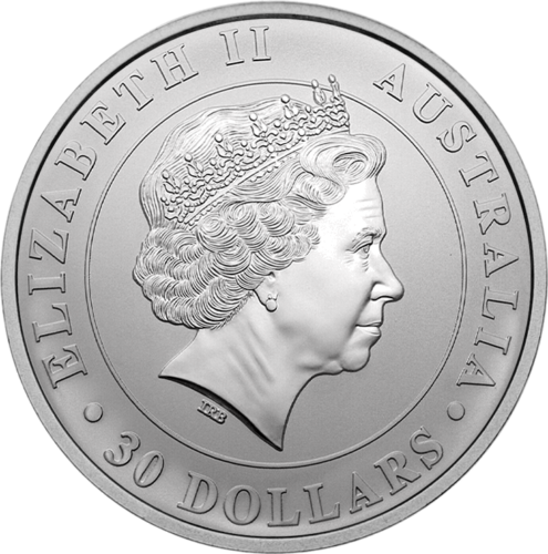 1 кг Коала 2013 Австралия серебряная монета (2)