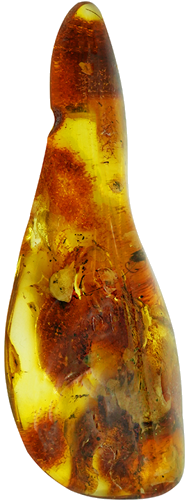 20,70 g Amber Nugget with inclusion (4)