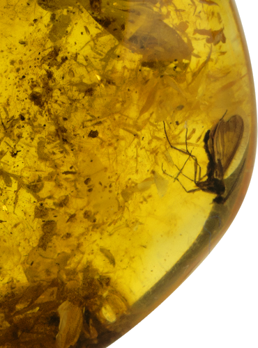 3,80 g Amber nugget with inclusions (2)