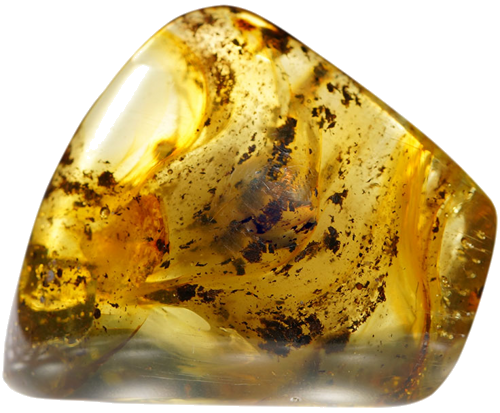 31,60 g Amber nugget (2)