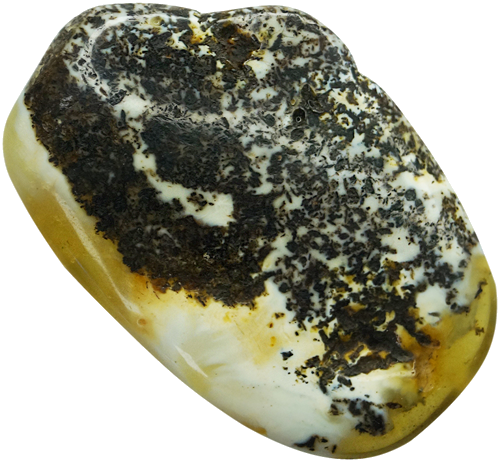 8,55 g Amber Nugget (1)