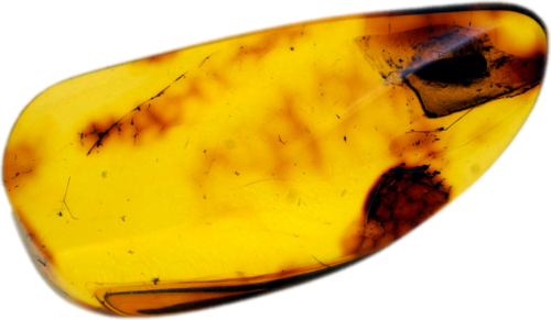 5,10 g Amber Nugget with inclusion (1)