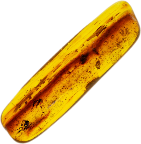 2,00 g Gintaro grynuolis su inkliuzais (1)