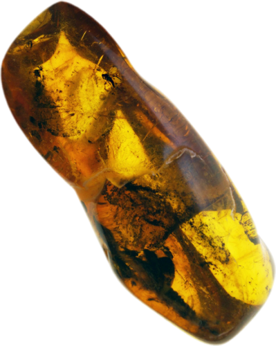 3,35 g Amber Nugget with inclusion (1)