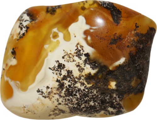 15,50 g Amber Nugget (1)