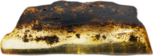 31,60 g Amber nugget (1)