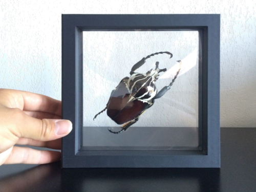 Rėmelis Magic Frame (pastorintas) (3)