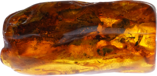 13,10 g Amber Nugget with inclusion (1)