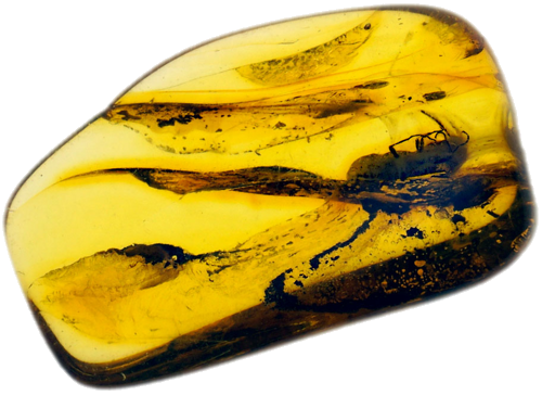 1,50 g Amber Nugget with inclusion (1)
