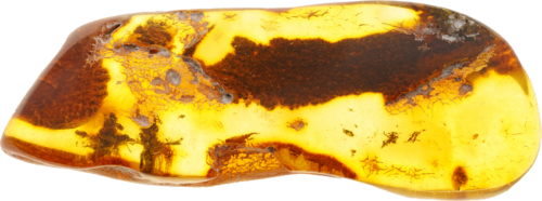 10,65 g Amber nugget (2)