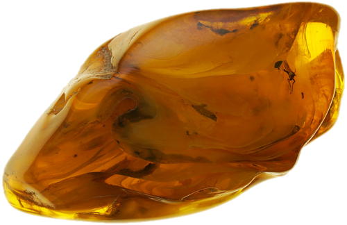 33,70 g Gintaro grynuolis su inkliuzu (2)