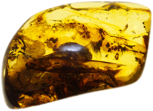 7,30 g Amber nugget (1)