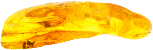 6,60 g Gintaro grynuolis su inkliuzu (3)