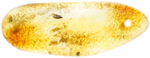 2,40 g Gintaro grynuolis su inkliuzu (1)