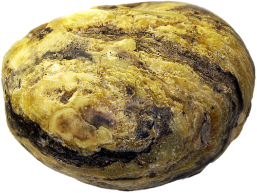 55,50 g Amber nugget (1)