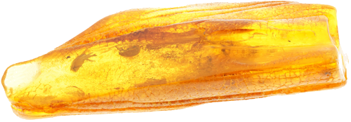 9,00 g Dzintara tīrradnis ar inkrustāciju (1)