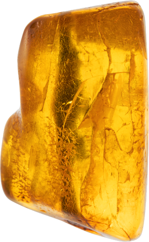 3,90g Amber nugget with inclusion (1)