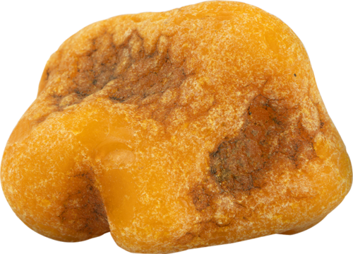 10.15 g Sea amber nugget (3)