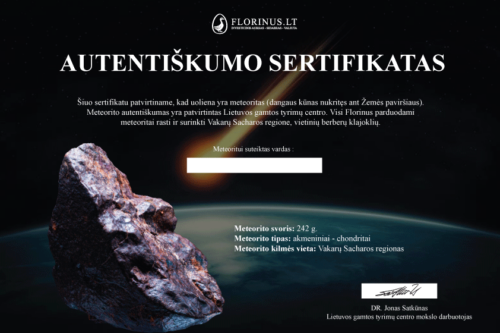 242 гр. Метеорит (9)