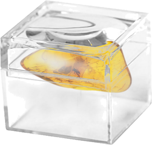 1,25 g Dzintara tīrradnis ar inkrustāciju (2)