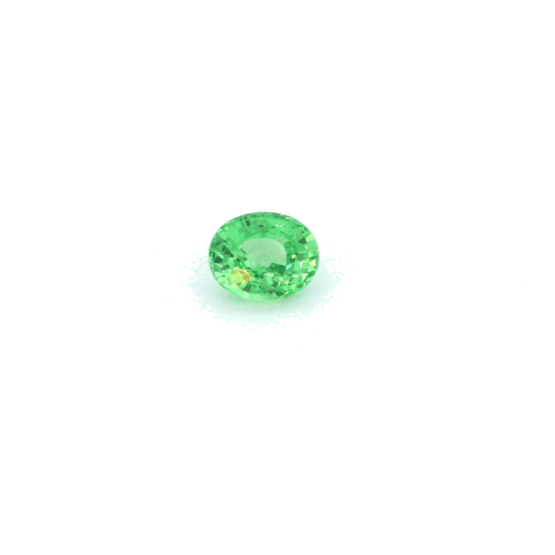 0.46 carat GREEN Oval Garnet (1)