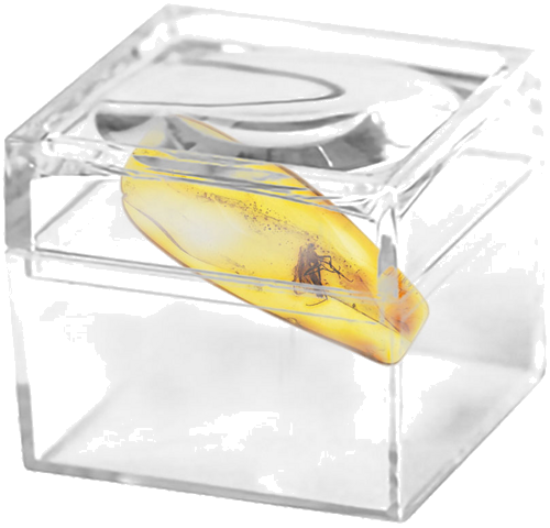 0,80 гр. Самороден кехлибар с фосил (2)