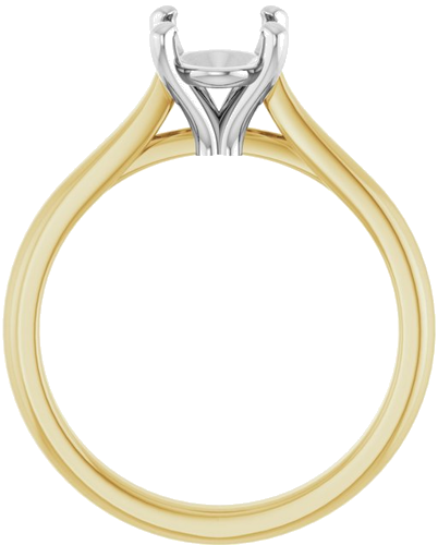 Sužadėtuvių Žiedas 14k yellow/white gold Oval 8.5mm x 6.5mm (2)