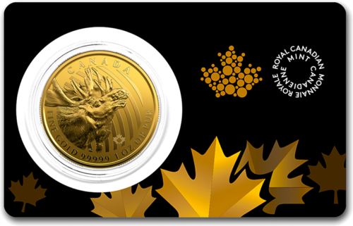2019 Canadian Moose 1 oz gold 99999 coin (2)