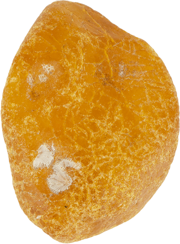 6.35 g Sea amber nugget (1)