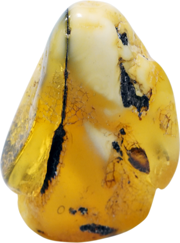 31,60 g Amber nugget (2)