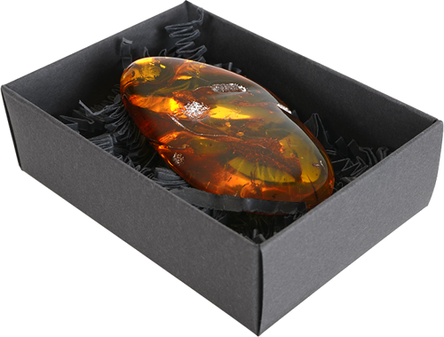 20,35 g Amber nugget (4)