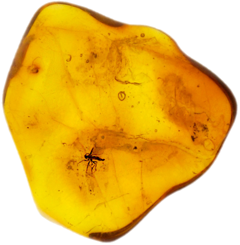 0,95 g Amber Nugget with inclusion (1)