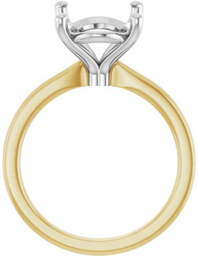 Sužadėtuvių Žiedas 14k yellow/white gold Oval 14mm x 10mm (2)