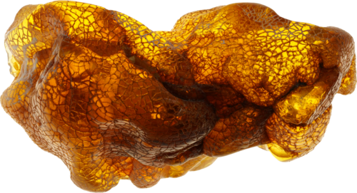 38,45 g Amber Nugget with inclusion (1)