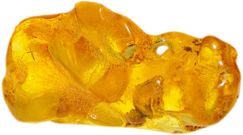 8,55 g Gintaro grynuolis su natūralia skyle (1)
