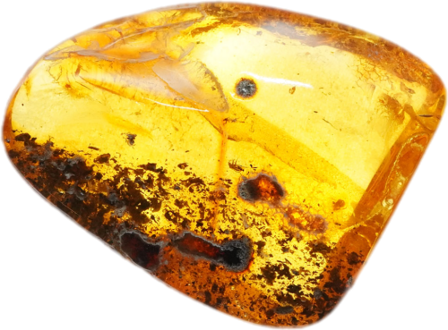 11,20 g Gintaro grynuolis su inkliuzu (1)