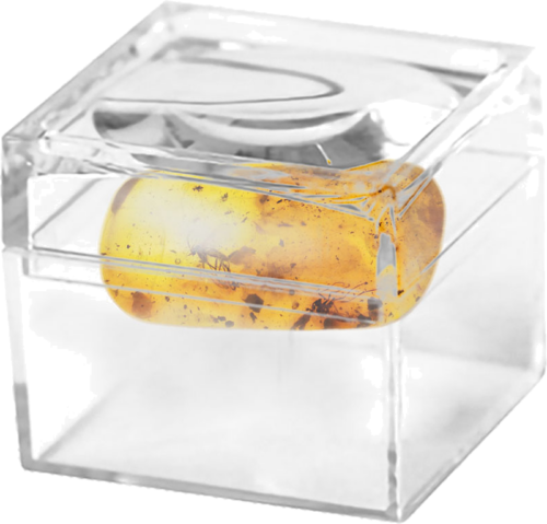 0,85 гр. Самороден кехлибар с фосил (2)