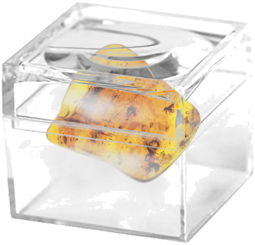 4,50 гр. Самороден кехлибар с фосил (2)