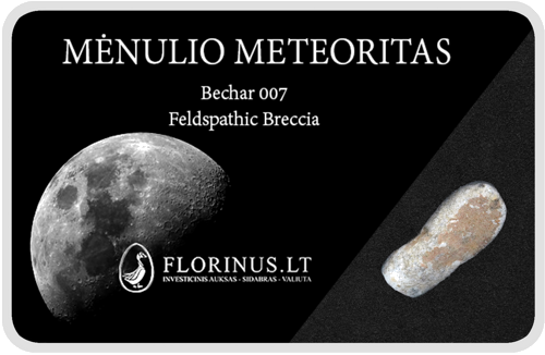 Lunar Meteorite (1)