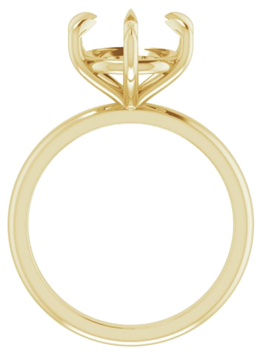 Sužadėtuvių Žiedas „Claw-Prong“ 14k yellow gold Round 10mm (2)