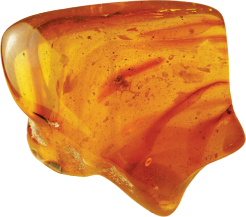 10,95 g Amber Nugget with inclusion (1)
