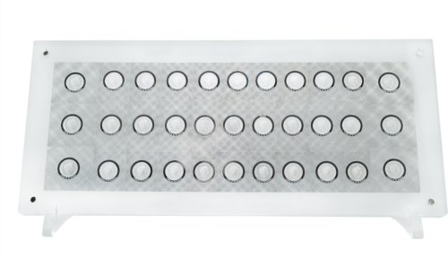 1 kg Mikelandželas Siksto koplyčia 2021 Niuje 33 x 1 USD Proof Sidabrinių .999 monetų rinkinys (2)