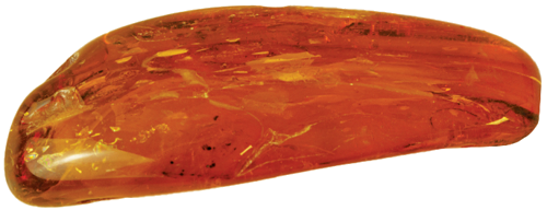 8,45 g Amber Nugget with inclusion (2)