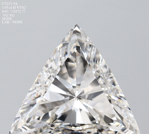 1.03 carat I-VVS2 Natūralus Triangular Deimantas (1)