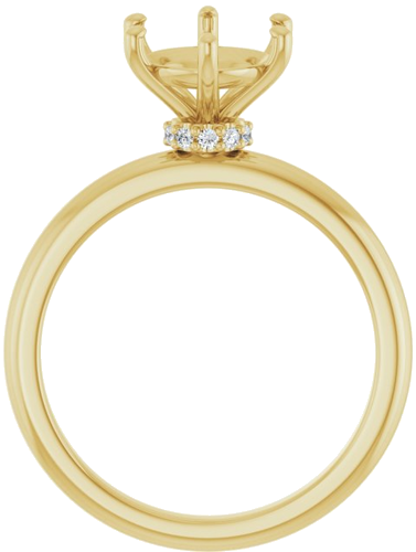 Sužadėtuvių Žiedas „Accented“ 14k yellow gold Oval 10mm x 8mm (2)