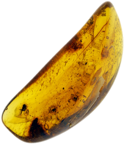 2,90 g Gintaro grynuolis su inkliuzu (1)